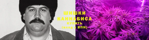 ГАЛЛЮЦИНОГЕННЫЕ ГРИБЫ Алексин