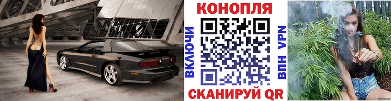 Шишки марихуана OG Kush  сколько стоит  Разумное 